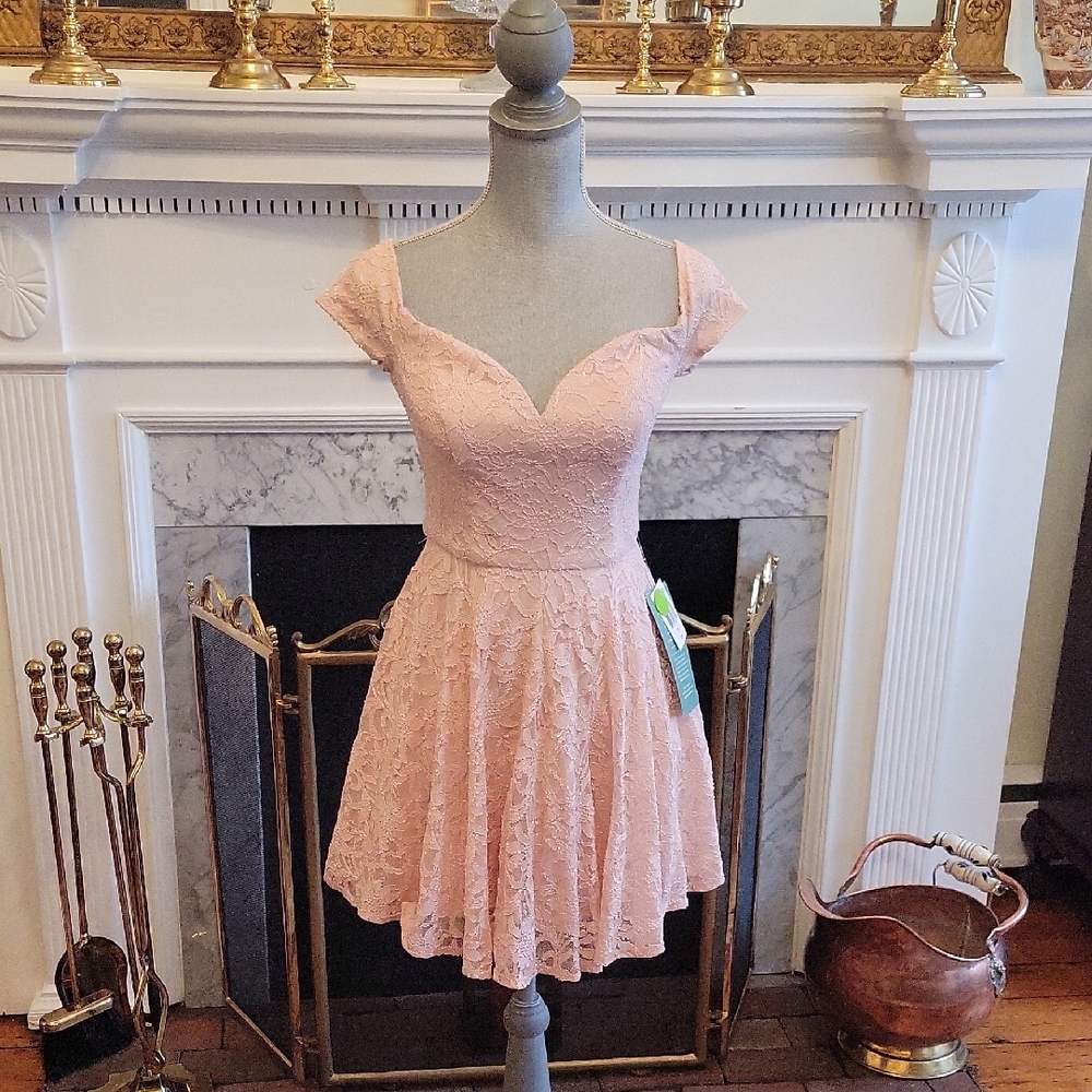 NWT B. Smart Lace Mini Dress